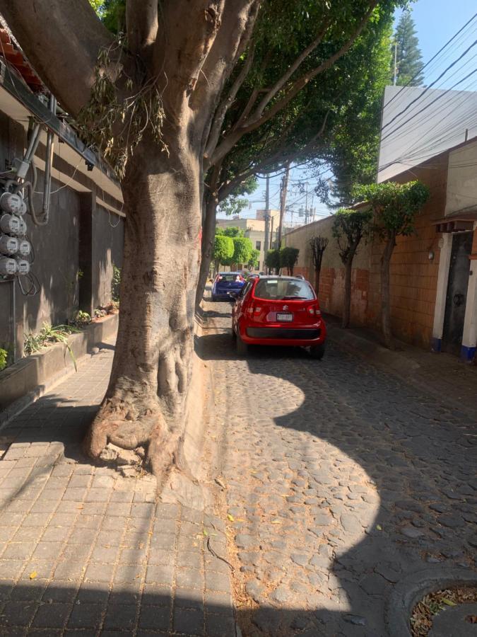 Coyoacan Magico Mexico City Luaran gambar